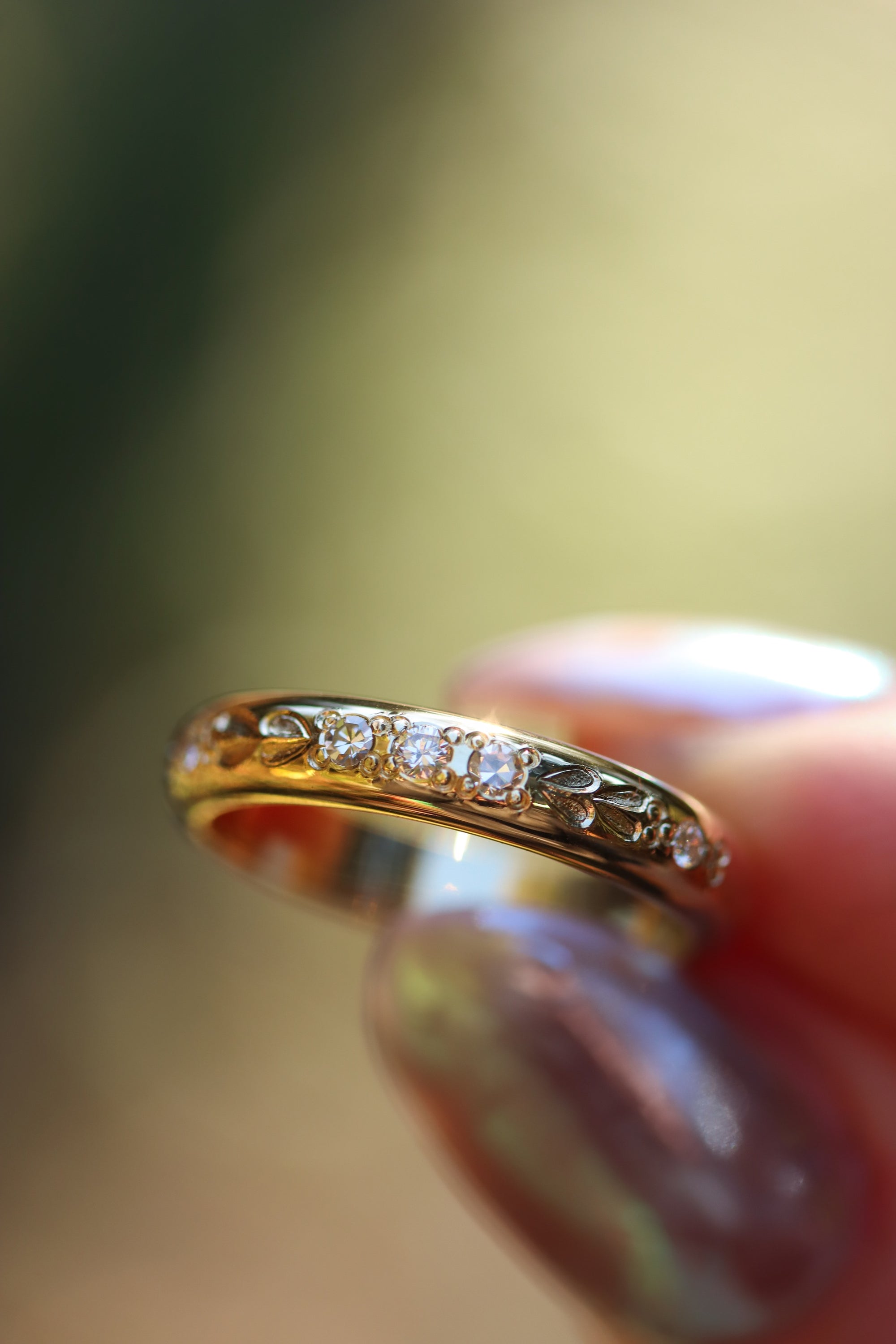 Slideshow Image 2